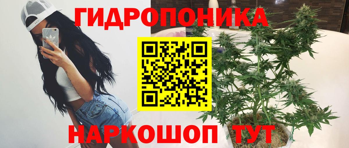МАРИХУАНА VHQ  Вход с VPN  Канабис LSD WEED  Котлас  Бошки Шишки конопля  Шишки марихуана сатива 